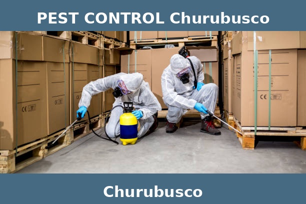 PEST CONTROL Churubusco